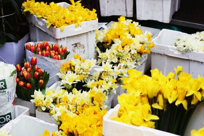 TAKE A TRIP TO COLUMBIA ROAD FLOWER MARKET