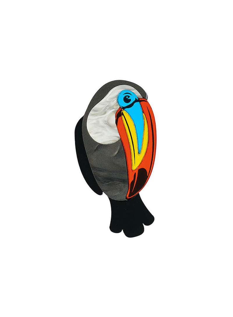 Toucan brooch