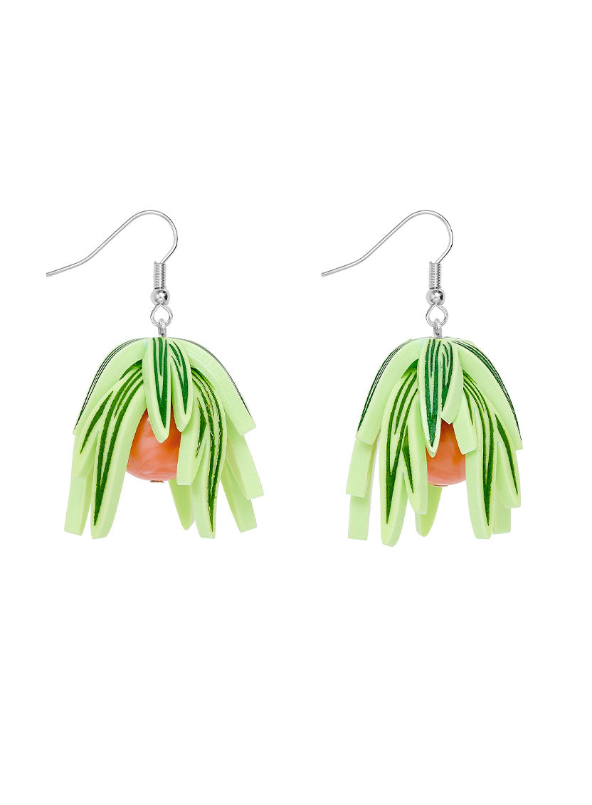 House Plant Earrings