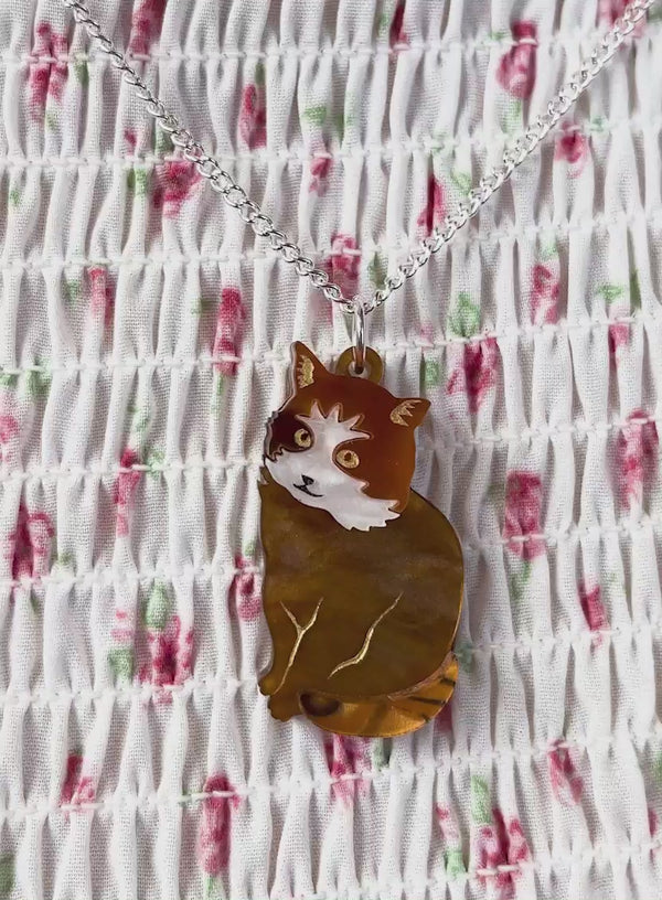 Video of Tortoiseshell tabby cat necklace