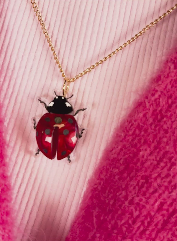 Video of Ladybug Pendant