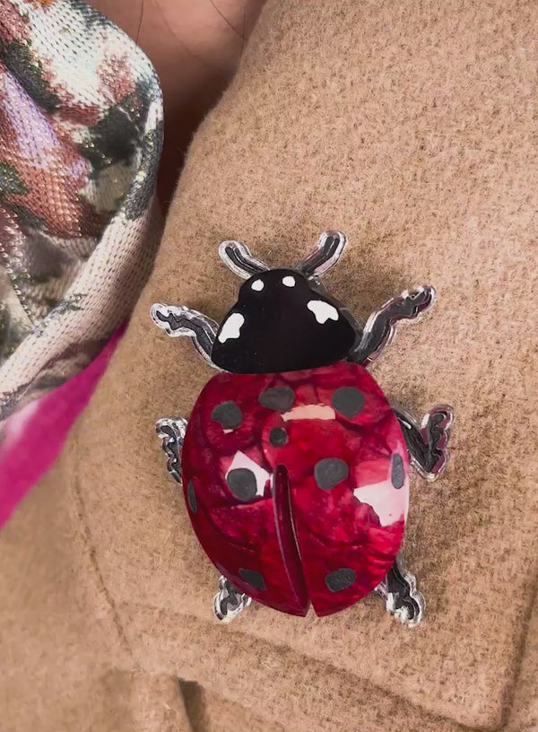 Video of our Ladybug Brooch